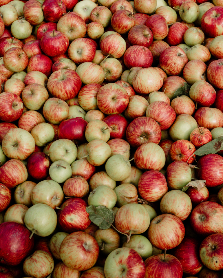 Gastronomie | Schobermost