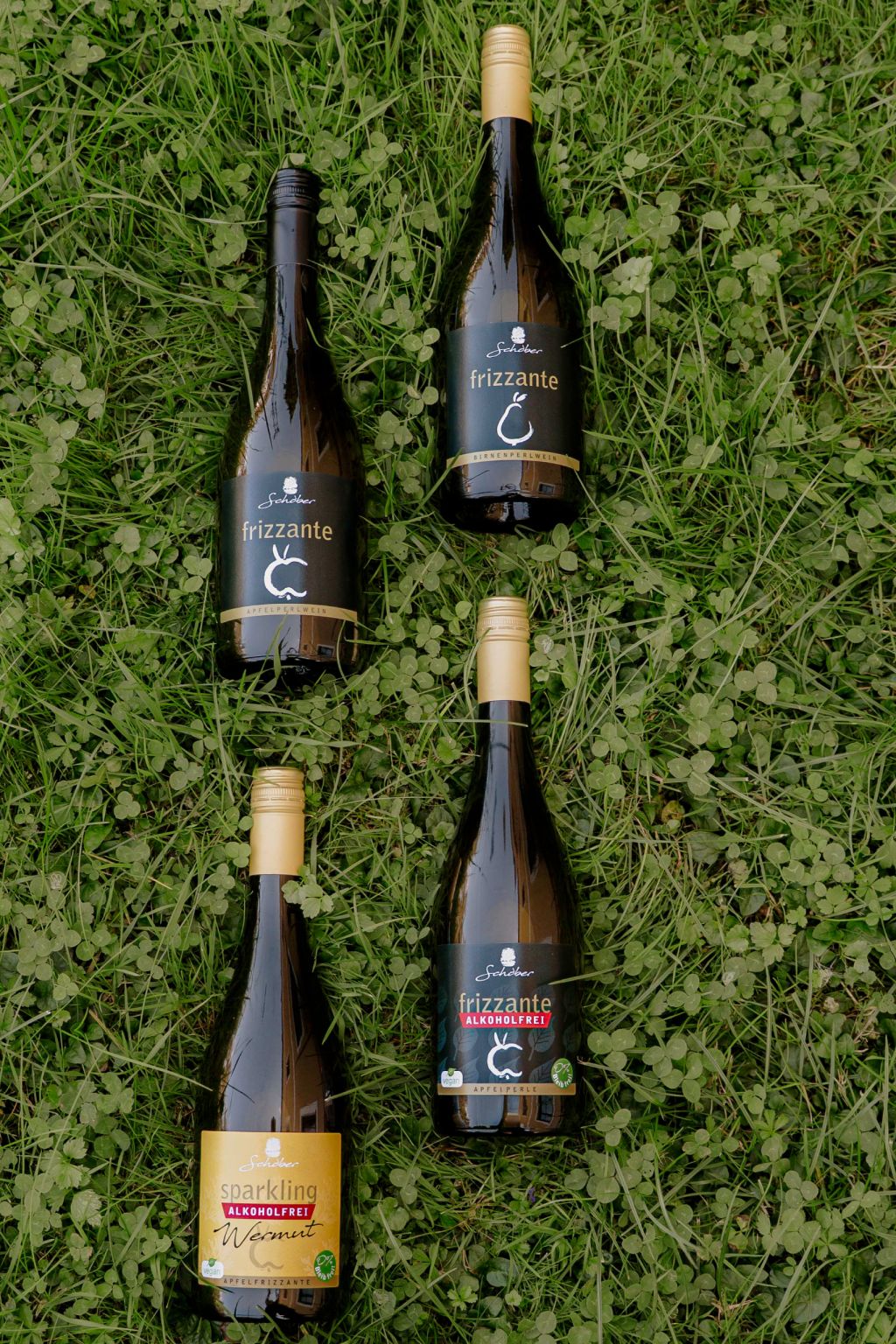 Handel Titelbild | Schobermost